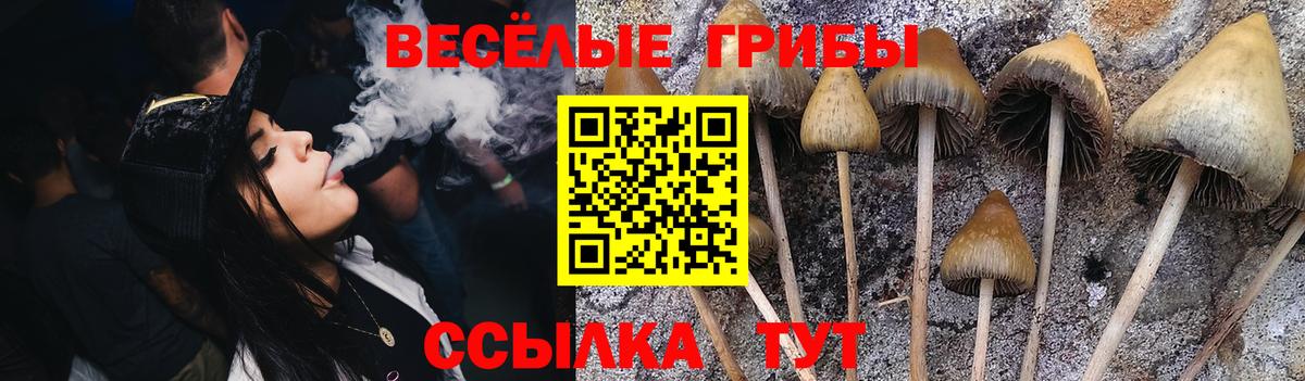 Псилоцибиновые грибы MAGIC MUSHROOMS  Вход с VPN  Ачхой-Мартан 